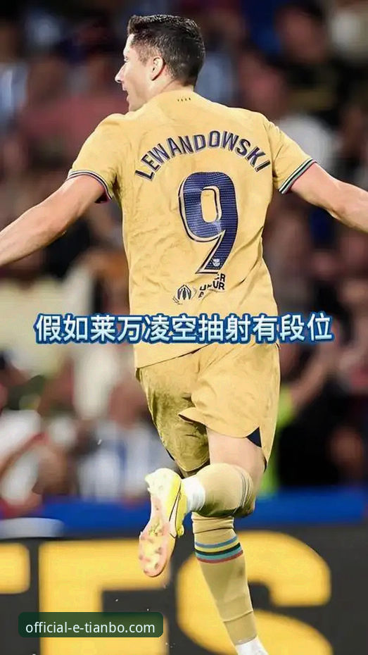 一位天才前锋的陨落，如何在天博体育平台深度解析阿根廷的战术危机？